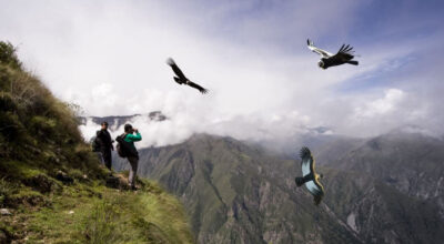 Tour Vuelo de Cóndores en un dia